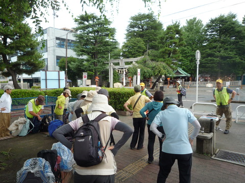 P1130104.JPG