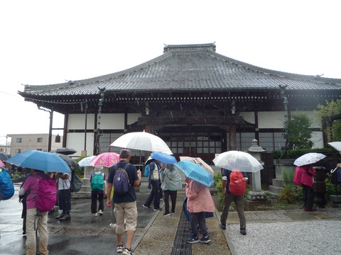 P1130112.JPG