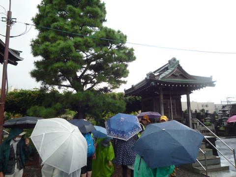 P1130113.JPG