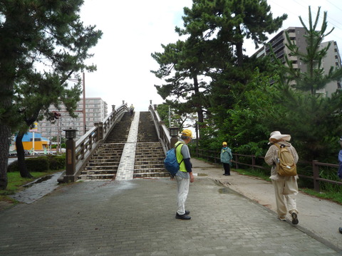 P1130123.JPG