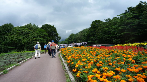 P1130158.JPG
