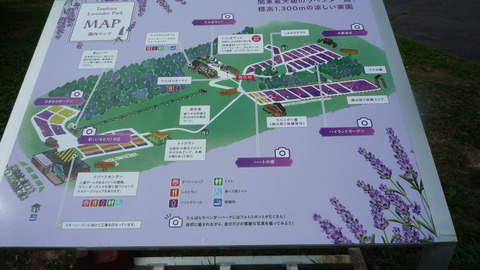 P1130159.JPG